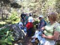 2014-07-03 12-40-57 Rando foret de Nemours APr